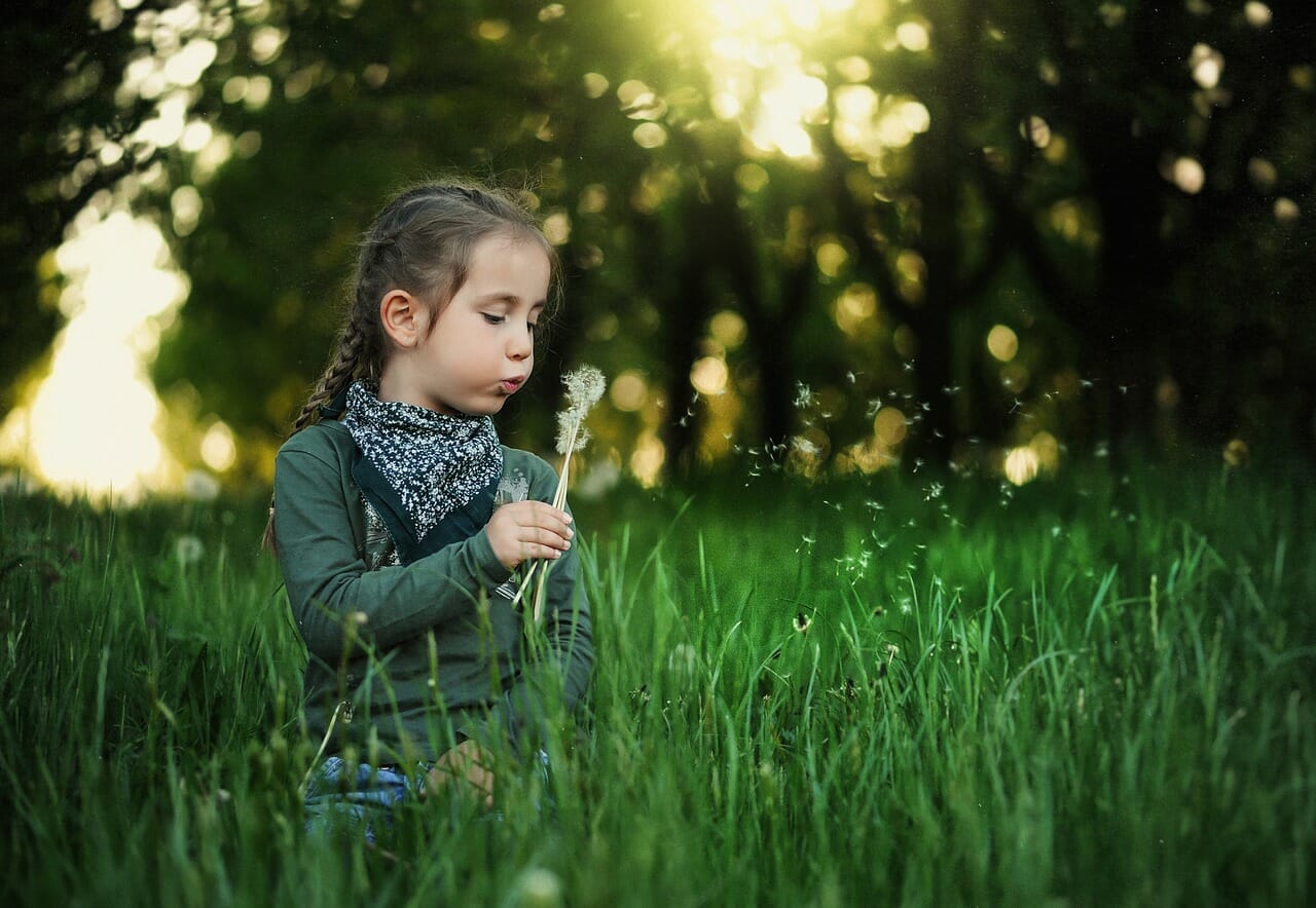 Kind auf einer Wiese mit Pusteblumen / ©pixabay