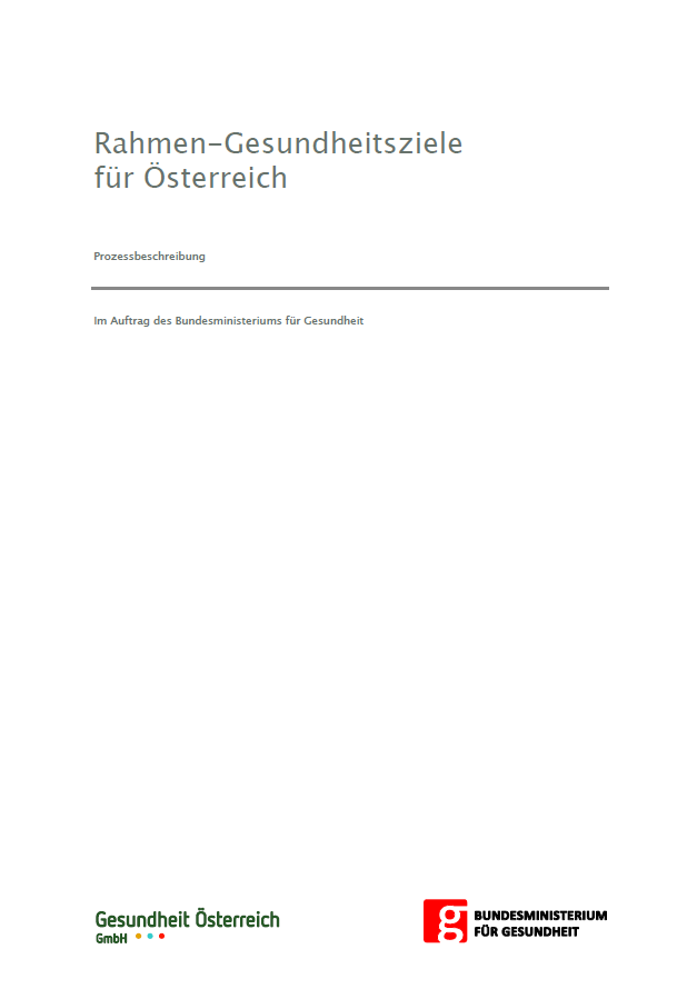 screenshot cover prozessbeschreibung